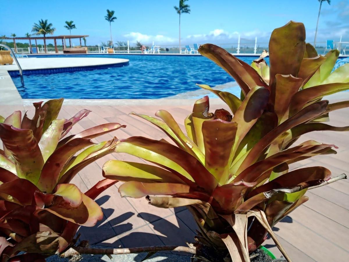 Apartment Excelente Entre A Lagoa E O Mar!!!